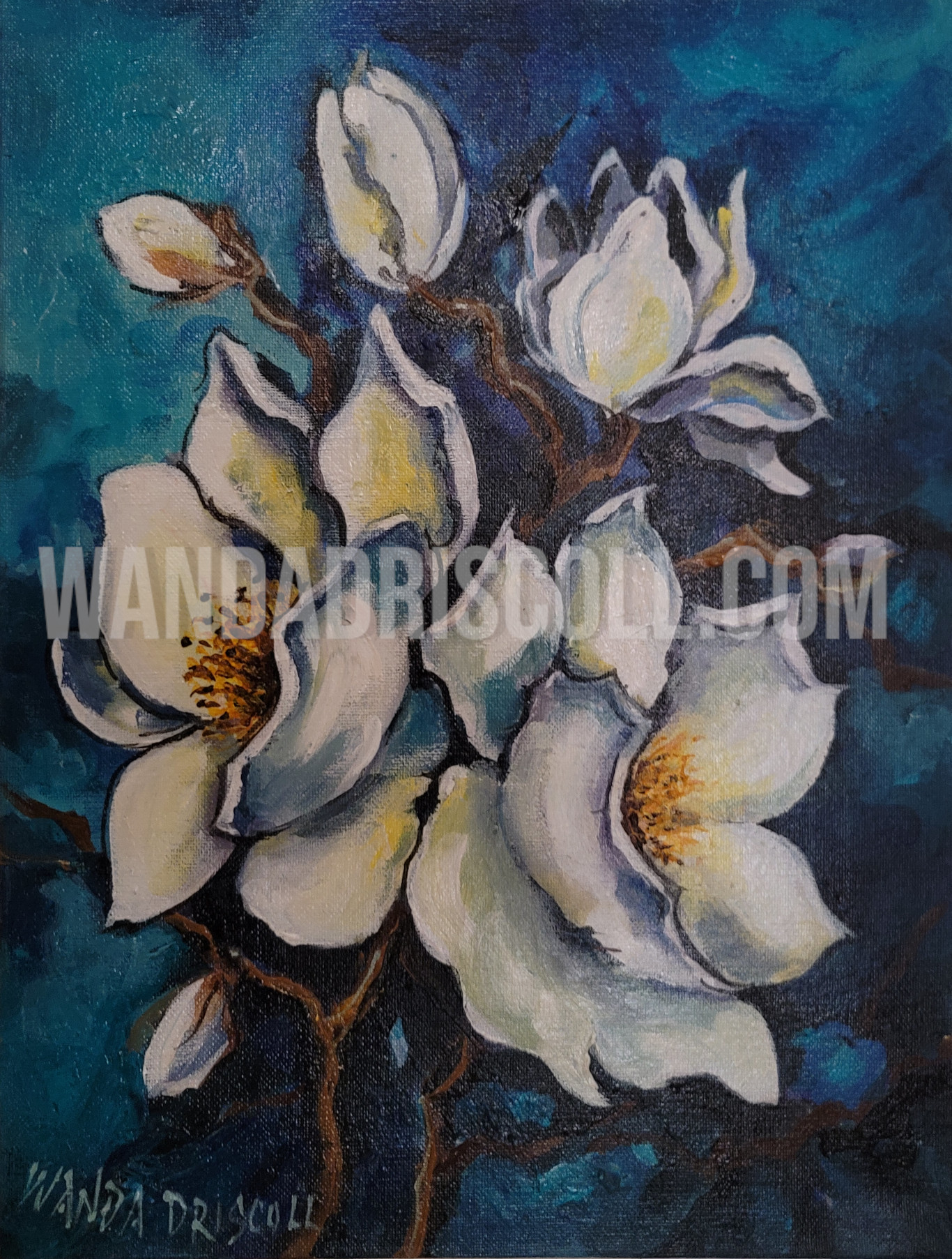 Magnolia