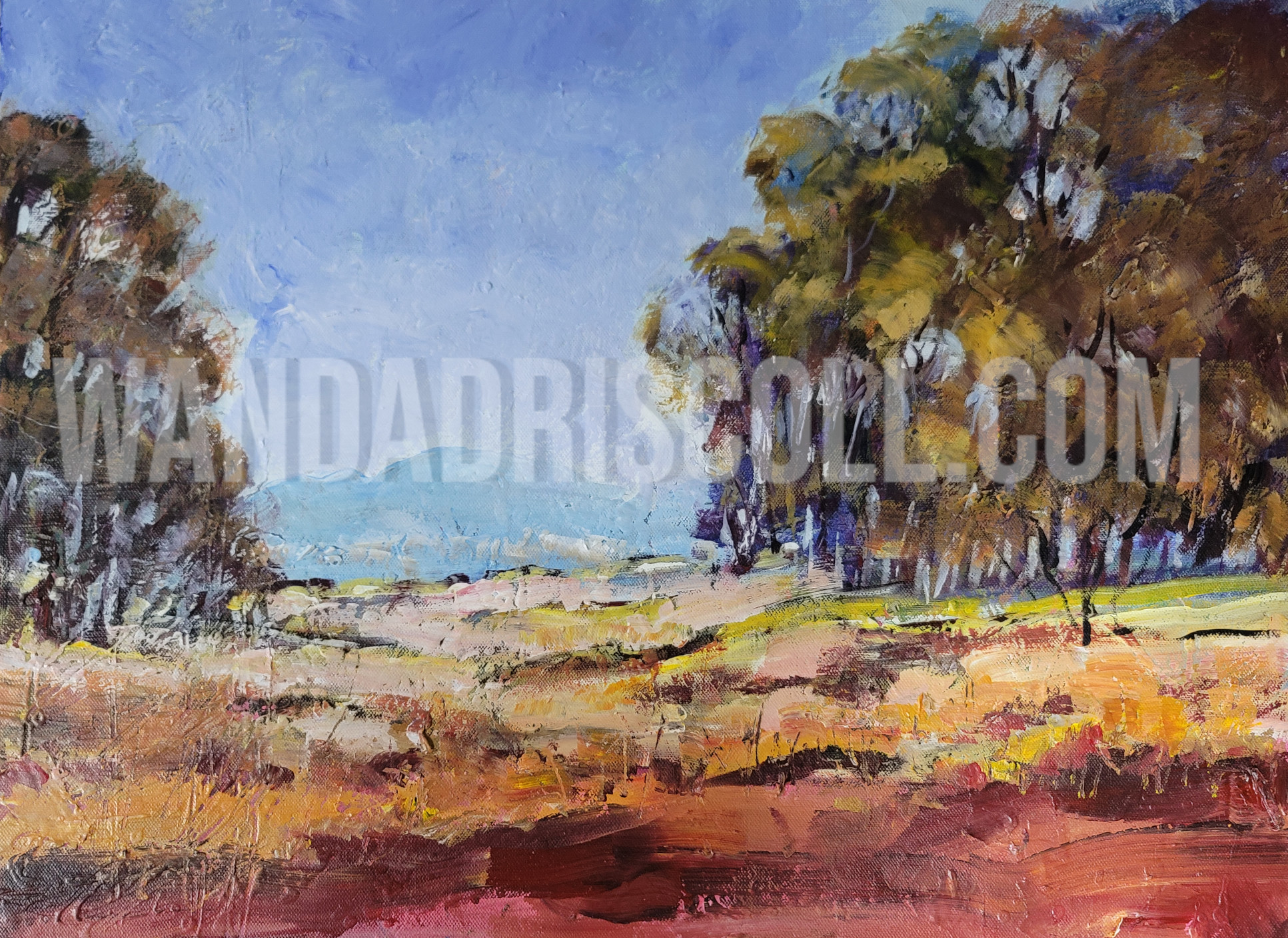 Eucalyptus Landscape