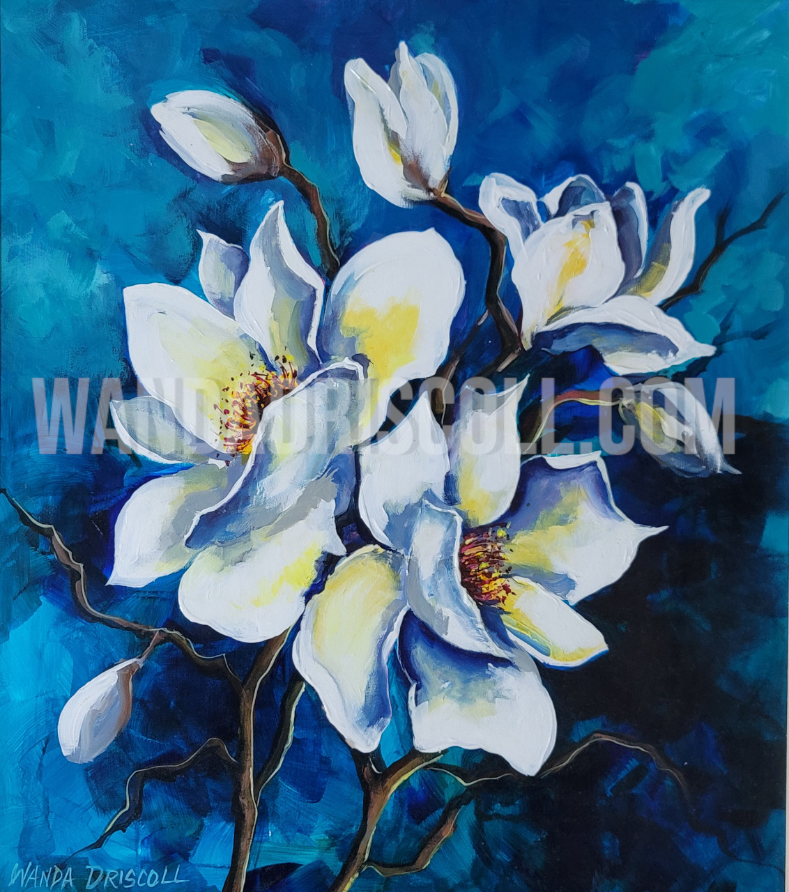 Magnolia